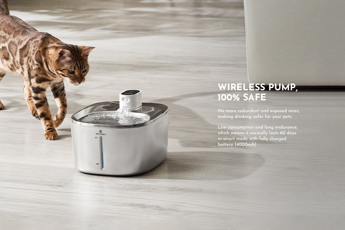 Stainless Steel Automatic Cat Water Fountain With Sensor